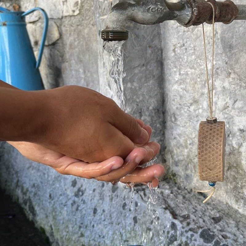 Savon Infusé | Plantain & Pomme Sauvage – Image 3